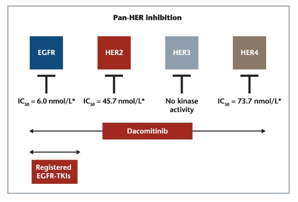 Dacomitinib比一代TKI存在更强的抑制作用和临床疗效