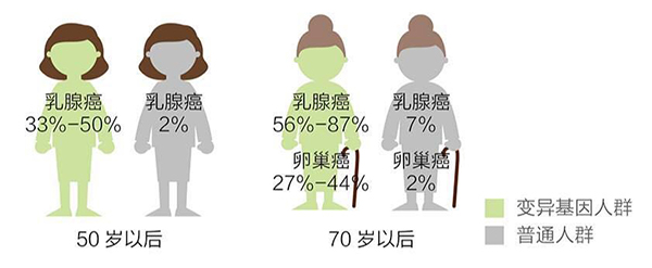 FDA授予奥拉帕尼用于难治BRCA突变HER2阴性乳腺癌优先审批资格